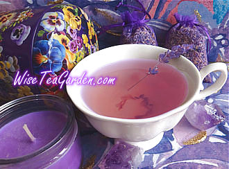 ELDERBERRY TEA, Wise Tea Garden