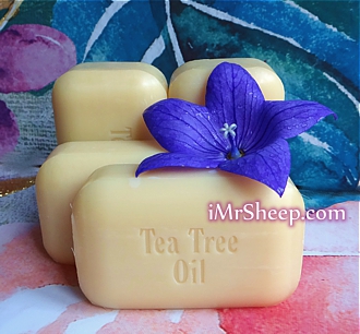 Soap Works TEA TREE OIL BAR SOA