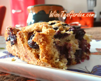 ORGANIC CHEWY COCONUT AND BLUEBERRY PIE